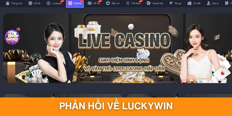 Các phản hồi chân thực của người chơi về thương hiệu
